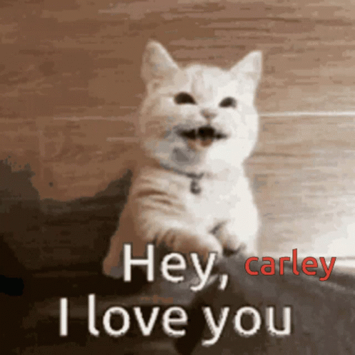 Carley Love GIF - Carley Love Love You Carley GIFs
