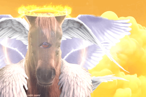 Tomascore Seraphim GIF - Tomascore Seraphim Biblically Accurate Angel GIFs