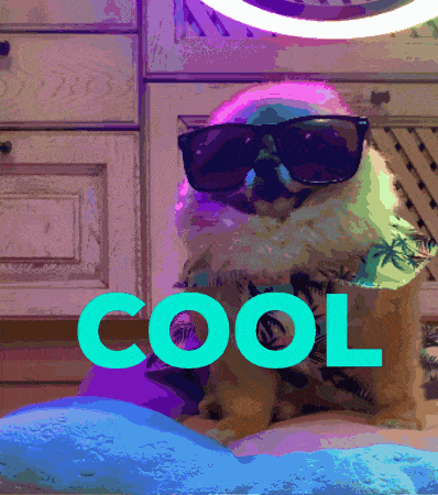 a picture of a dog wearing sunglasses with the word cool in the background