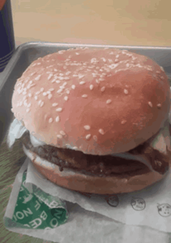 Aandw Mozza Burger GIF - Aandw Mozza Burger Cheeseburger GIFs