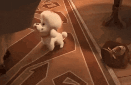 a couple of small white dogs walking on a rug