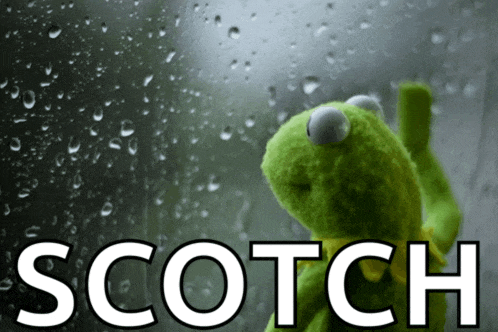 a kermit the frog looking out a window with the word scotch written below him