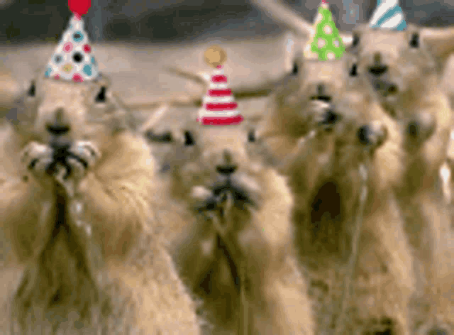 a group of squirrels wearing party hats are standing in a row