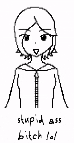 a pixel art drawing of a girl with the words stupid ass bitch lol below her