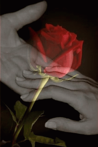 I Love You Touch My Hand GIF - I Love You Touch My Hand Hold My Hand GIFs