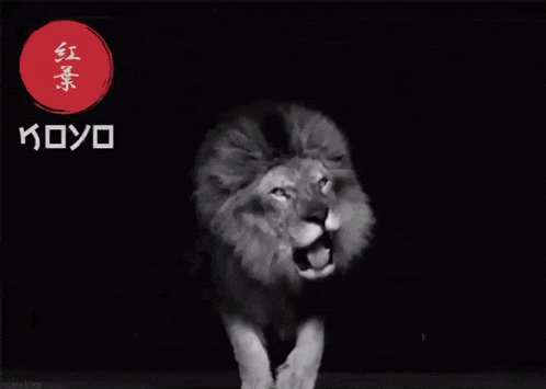 a black and white photo of a lion with a red circle in the background that says koyo