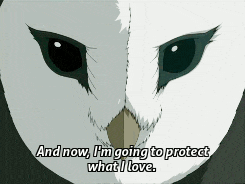 a cartoon owl with the words and now i 'm going to protect what i love