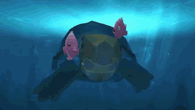 a turtle with two pink fish on its back