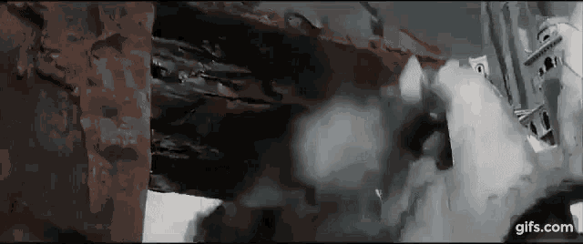 Fight War GIF