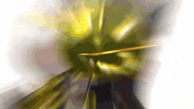 a blurry picture of a person 's face with a white background