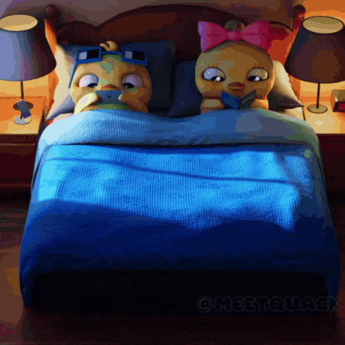 a couple of stuffed ducks are laying on a bed with the word meetoduck on the bottom
