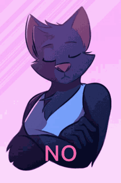 a drawing of a cat with arms crossed and the word no on the bottom
