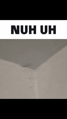 a white wall with the words nuh uh written on it