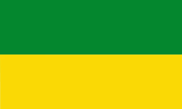 a green and yellow flag on a white background