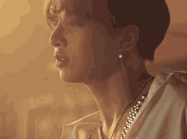 a close up of a person 's face with a necklace and earrings