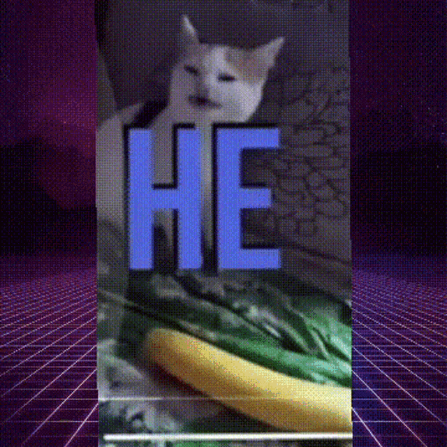 a cat is laying on a bed next to a corn on the cob and a sign that says he on it .