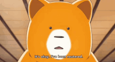 a teddy bear with the words it 's okay i 've been neutered