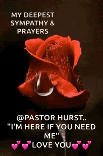 a red rose with a drop of water on it and the words " my deepest sympathy and prayers "