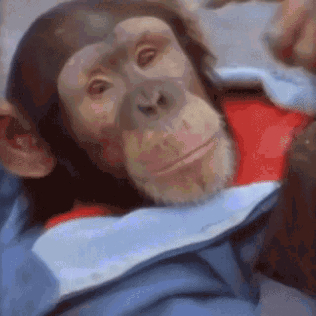 Monke Monkey GIF - Monke Monkey Vibe GIFs