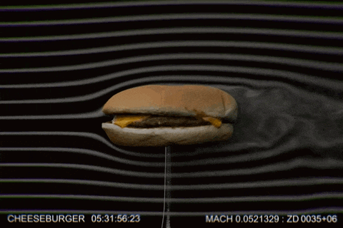 a picture of a cheeseburger with the time of 05:31:56 on it