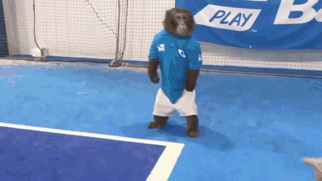 a monkey wearing a blue shirt and shorts stands on a blue court in front of a play banner