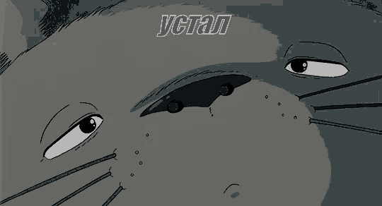 a close up of a cat 's face with the word yctan on the bottom right