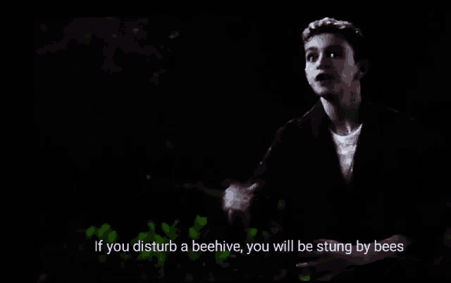 a black and white photo of a boy with the words if you disturb a beehive you will be stung by bees
