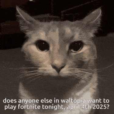 a cat with the words does anyone else in waltopia want to play fortnite tonight april 4th 2025 written below it