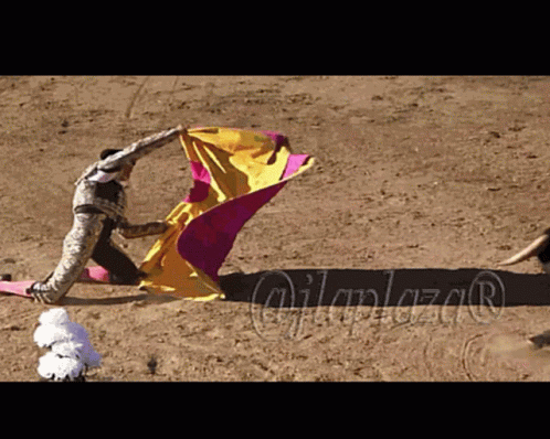 Bullfighting Torero GIF - Bullfighting Torero GIFs