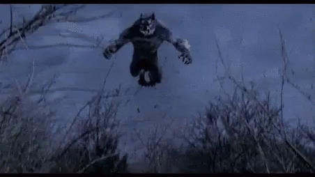 Wearwolfwere Werewolfwhere GIF - Wearwolfwere Werewolfwhere Attack GIFs