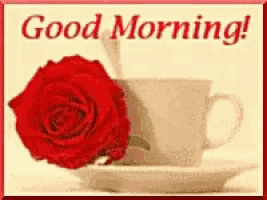 a red rose is sitting next to a cup of coffee with the words good morning written on it .