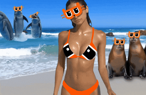 a woman in a bikini is surrounded by sea lions and dolphins wearing cat sunglasses