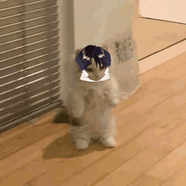 a cat with a picture of a boy on its head standing on its hind legs