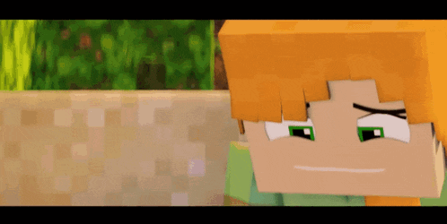a close up of a minecraft character 's face