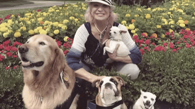 Dogs Pets GIF - Dogs Pets Pet Lover GIFs