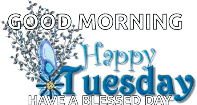 a good morning happy tuesday have a blessed day