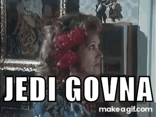 a woman with red flowers in her hair is standing in front of a picture frame and says jedi govna .