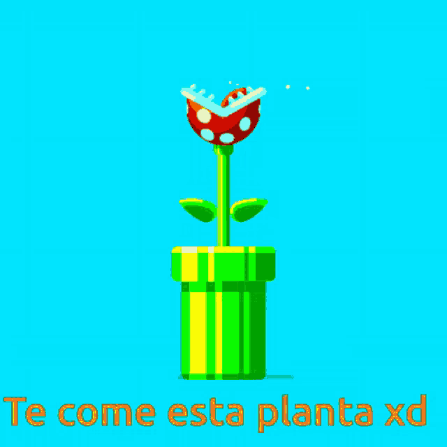 a pixel art of a plant with the words te come esta planta xd underneath it