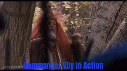 Vily Commander Vily GIF - Vily Commander Vily Papi GIFs