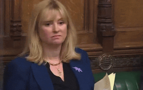 a woman in a blue jacket with a purple horse pin on her jacket