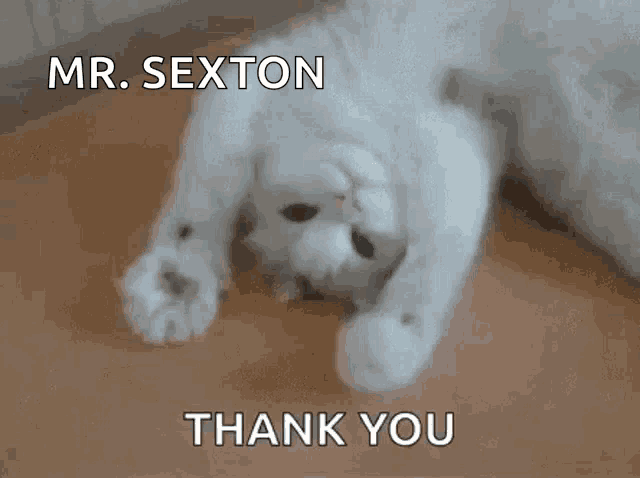 a white cat is laying on its back with the words " mr. sexton thank you " below it
