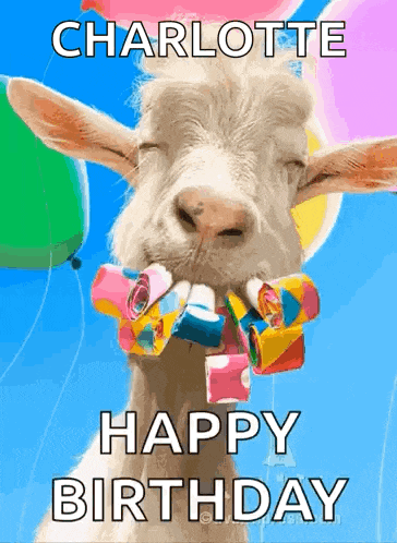 a goat is holding balloons in its mouth and says happy birthday