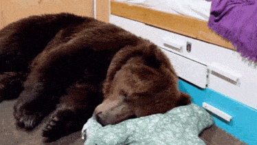 a brown bear is laying on a pillow in front of a bed
