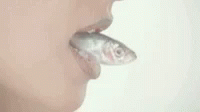 Fish Mouth GIF - Fish Mouth Struggle GIFs