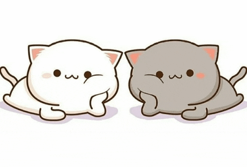 a white cat and a gray cat are laying next to each other .
