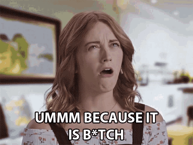Umm Because It Is Bitch It Is What It Is GIF - Umm Because It Is Bitch It Is What It Is It Just Is GIFs