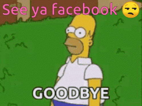 Goodbye To Facebook See You Facebook GIF - Goodbye To Facebook See You Facebook Goodbye GIFs