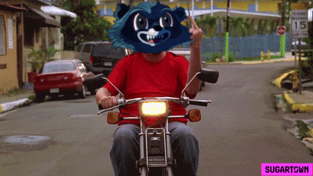 a man riding a motorcycle with a raccoon on his head and the words sugartown below him