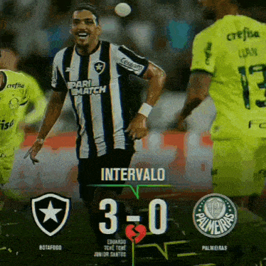 Palmeiras Palmeiras X Botafogo GIF - Palmeiras Palmeiras X Botafogo GIFs