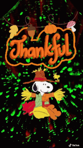 Thanksgiving GIF - Thanksgiving GIFs